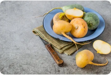 BIO - Rübe - Goldana