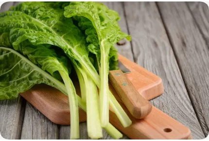 BIO - Schweizer Mangold