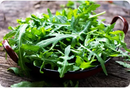 BIO - Wilder Rucola
