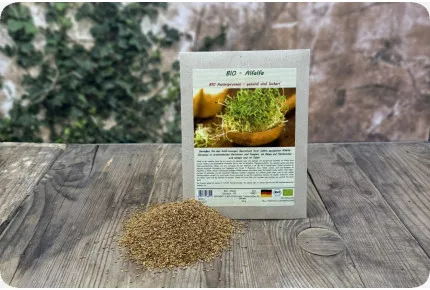 Alfalfa - Keimsprossen