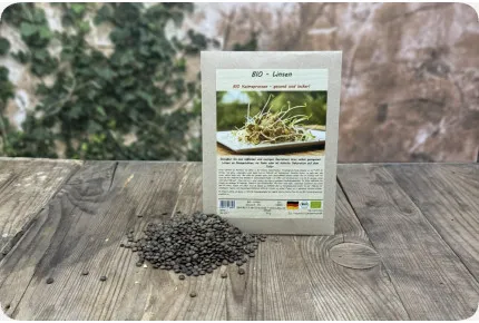 Linsen - Keimsprossen