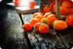 ORGÁNICO - Chile - Naranja Habanero
