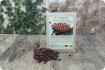 Adzuki Beans - Germes
